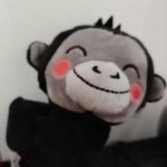 [DGL] BlaCk°MonKey's - Steam avatar