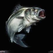 Sea Bass's - Steam avatar