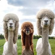 Fabbro's Stream profile image
