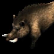 Boar Lure's - Steam avatar