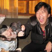 Mr. Chow's Stream profile image