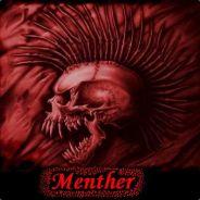 Menther's Stream profile image