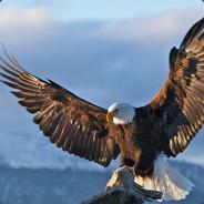 Eagle's - Steam avatar