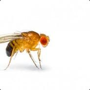 FruitFly638's - Steam avatar