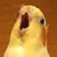 Pal's Stream profile image