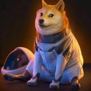 nicoalf.26's Stream profile image