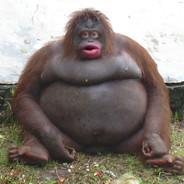 csweezy's Stream profile image