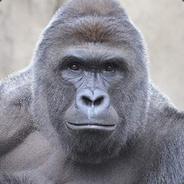 Harambe's Stream profile image