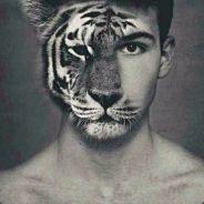 常德梁朝伟's Stream profile image