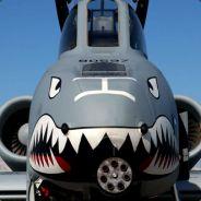 Pethers's Stream profile image