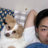111's Stream profile image