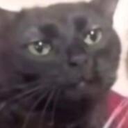 Khajit Lampião's Stream profile image