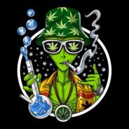 Scriba's Stream profile image