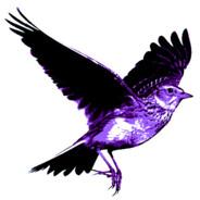 PurpleSkylark's Stream profile image