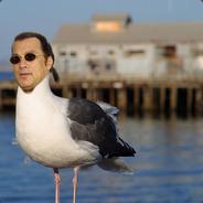 Steven Seagull's - Steam avatar