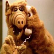 Sgt Alf's Stream profile image