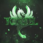 tortel95's Stream profile image