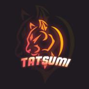 Tatsumi's Stream profile image