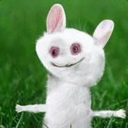 Striker243's Stream profile image