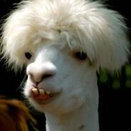Silas764's Stream profile image