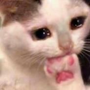 i7-970's Stream profile image
