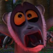 lemur's - Steam avatar