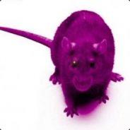 Trip Rat's Stream profile image