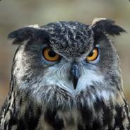 Hedgehog's - Steam avatar