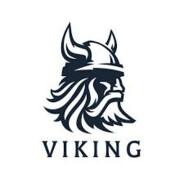 Viking's Stream profile image