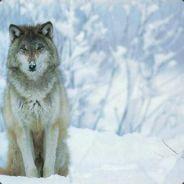 Mysteria_Kal's - Steam avatar