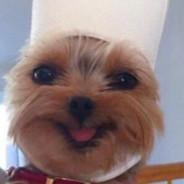 VNS_FasT_'s Stream profile image