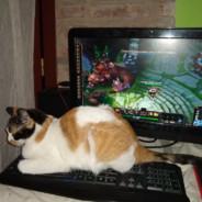 herrerita's Stream profile image