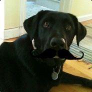 tnbeatty's - Steam avatar