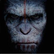 crowdude's - Steam avatar