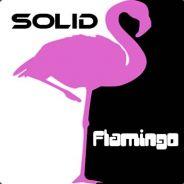 Solidflamingo's Stream profile image