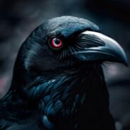 Raven's Stream profile image