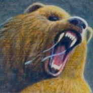 A Wild Bear's - Steam avatar