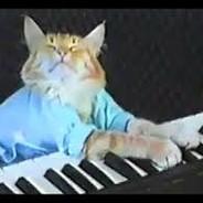 noodles's Stream profile image