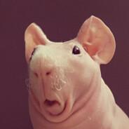 SkinnyPig's Stream profile image