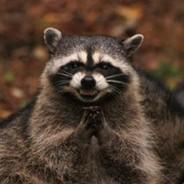 trashpanda's - Steam avatar