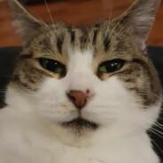 The Big Rom's Stream profile image