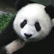 Panda's - Steam avatar