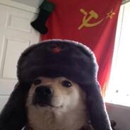 Comrade Dog's Stream profile image