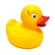 Quack The Duck's - Steam avatar