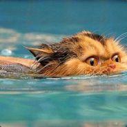K.o.O.p.A.'s Stream profile image