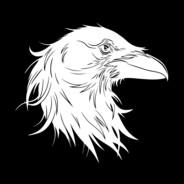 Wise Raven's Stream profile image