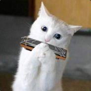 TheHarmonicat's Stream profile image