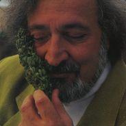 Jack Herer's Stream profile image