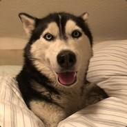 DerJähzornigeFritz's Stream profile image