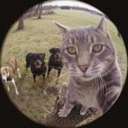 FLEX-ARISTOCRAT's Stream profile image